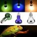 E27 Reptile Heat Bulb Infrared Heating Light Bulbs 25/50/75/100W UV Tortoise Turtle Light Beneficial UVA Basking Lamp Heat Bulb(25W Green) 25w Green - Buy Online on GoSupps.com