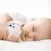 Storaffy Pacifier Holder Clip Set | Safe Silicone Pacifier Cover for Babies | Easy Clean Travel-Friendly Accessory - Buy Online on GoSupps.com