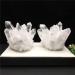 Natural Healing Rock Crystal Clear Quartz Crystal Cluster Gemstone Mineral Geode Specimen Irregular Crystal Cluster Ornament for Home Decoration 400-500g - Buy Online on GoSupps.com