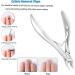 FERYES Cuticle Nippers - Professional Stainless Steel 1/2 Jaw Trimmer Scissors for Precise Nail Care | Double Springs Pedicure Manicure Tool FL-N300 Silver - Buy Online on GoSupps.com