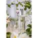 Provence Sante Eau de Toilette Spray - Luxury Long-Lasting Fragrance - Vetiver Scent - Elegant Perfume Gift - Made in France - 3.5 Oz - Buy Online on GoSupps.com