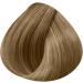 KIN Cosmetics New Generation Permanent Coloration 10.32: Iridescent Golden Platinum Blonde - Buy Online on GoSupps.com