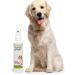 Jean K. Vet Anti-U rin ation & Scratch Defense Spray 100ml - Odorless Cat & Dog Protection Remote Stop Spray for Furniture Anti-Scratch & Nibble Shield - Buy Online on GoSupps.com