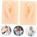 Silicone Tool 1 Pair Ear Model Science Teaching Tools Teaching Aid Ear Model Human Body Model Massage Tool Pro Tools Ear Models Ear Presentation Model Ear Model Body - Buy Online on GoSupps.com