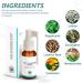 Herbal Lung Cleansing Spray Herbal Lung Cleansing Spray Herbal Lung Cleansing Spray Lung Health Spray Powerful Lung Support and Cleansing (3 Bottles) - Buy Online on GoSupps.com