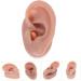 Silicone Human Ear Model for Massage, Piercing, and Simulation | Ear Display Body Kit | Healeved 6.5x3.5cm - Buy Online on GoSupps.com