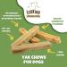EcoKind Pet Treats Premium Gold Yak Chews 1 lb. Bag - All Natural Himalayan Yak Cheese Dog Chews for Small to Large Dogs - Keeps Dogs Busy Indoors & Outdoors - Buy Online on GoSupps.com