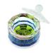 Rainbow Dodecagon Acrylic Nail Art Dappen Dish with Cap Lid - NAPB019 - Buy Online on GoSupps.com