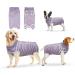 Ouuonno recovery suits for dogs and cats surgical recovery suit for female male abdominal wounds or skin diseases anti-licking pet nurse after operations (XS purple striped) XS violet