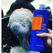 Fanola No Orange Shampoo 350 ml - Pack of 2 (11.83 Fl Oz each) - Anti-Orange Toning Shampoo - Buy Online on GoSupps.com