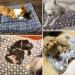 Cozy Calming Cat Blanket for Anxiety and Stress - Medium Size - Buy Online on GoSupps.com