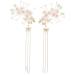 FRCOLOR 1 Pair Antique Hairpin Headdress Hair Charms Flower Hair Clips Prom Hair Accessories Hair Bows Hair Pin Wedding Hair Vintage Chinese Hair Clip Pearl Tiara Tassel Bride Walk Acrylic