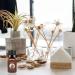Coconut Essential Oil for Diffuser Skin & Hair - Pure Organic Coconut Aromatherapy Oil 10ml | Yethious - Buy Online on GoSupps.com