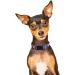 Mihqy Adjustable Soft Dog Collar - Bohemian Floral & Geometric Design for Small Medium Large Dogs (Neck 25-40 cm) - Buy Online on GoSupps.com