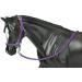 Breyer 2474 Nylon Halters in Blue, Pink, Purple - Quality Horse Tack - Buy Online on GoSupps.com