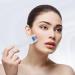 Derma Roller Set INCELLICE Dermaroller 5 IN 1 Kit Microneedle Roller for Face Scalp Derma Roller Professional Microneedling Roller for Hair Beard Facial Care Home Use - Buy Online on GoSupps.com