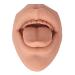 Soft Silicone Tongue Model with Acrylic Stand | Life-like Mouth Model for Jewelry & Piercing Practice | Ideal for Nursing Training - Meat Blonde - Buy Online on GoSupps.com