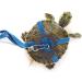 Dongker Turtle Harness and Leash | Adjustable Leather Turtle Control Rope for Walking Pet Turtles - L Blue - Buy Online on GoSupps.com