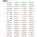 miduoidn Authentic Waterproof Eyebrows Tint For Eyebrows Easy To Apply Makeup Products Eyebrows Professional Accessories Brown-16 4pcs - Buy Online on GoSupps.com