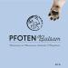Dogs Pfotenbalsam 50g - Premium Paw Care with Beeswax Shea Butter & Marigold Oil - Wound Healing & Protection for Dogs - Buy Online on GoSupps.com