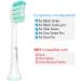 Senyum Replacement Toothbrush Heads - Compatible with AquaSonic Black Series - Pro Vibe Series - Duo Pro - 8 Pack - Buy Online on GoSupps.com