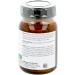 Phosphatidylcholine Lecithin Capsules - Premium Quality for Optimal Health | Buy Internationally - Buy Online on GoSupps.com