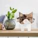Buy Eactel Animal Glasses Stand - Fun Cat & Pig Design for Kids & Adults | Creative Holiday Gift Idea - Buy Online on GoSupps.com
