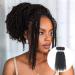FASHION IDOL Kinky Curly V Bulk Human Hair for Twist Braids Dreadlock Extensions Loc Repair Afro Kinky Curly Human Hair for Braiding 3 Bulk 3oz 22 Inches Natural - Buy Online on GoSupps.com