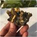 Very Beautiful Electroplated Yellow Flame Halo Quartz Crystal Cluster Specimen Healing Energy Stone Crystal Cluster (Size : 40-50g) - Buy Online on GoSupps.com
