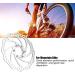 EVTSCAN 160mm Bike Brake Rotors with Threaded Hubs and Flange Adapter - 6 Bolts - Buy Online on GoSupps.com