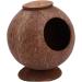 FOMIYES 2pcs Coconut Shell Charcoal Hamster Nest Small The Bed 16X15X15CMx2pcs Brownx2pcs - Buy Online on GoSupps.com