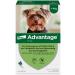 Elanco Advantage Spot-on 40 for Very Small Dogs - Quick Flea Control & Protection Up to 4 Weeks | 4 Pipets (0.4 ml) - Buy Online on GoSupps.com