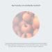 Alana Mitchell Pumpkin Anti-Aging Face Mask | Exfoliating Gel with Glycolic & Citric Acid for Glowing Skin | 2 oz Natural Facial Mask for All Skin Types - Buy Online on GoSupps.com