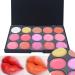 Phantomsky 15 Colors Cream Lip Gloss Makeup Palette - Durable Natural Contouring Kit & Blush Pallet for Flawless Makeup | International Shipping Available - Buy Online on GoSupps.com