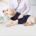 Kelivol fear coat for dogs fear relief calming light changing vest used to keep comfort for dogs fear of fireworks / thunderstorm (L Marineblau) l Marineblau