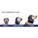 Buy MPS Head Cover for Dogs - Size M with Cover Pad | Best International Shipping - Buy Online on GoSupps.com