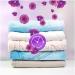 Lenor Laundry Perfume Amethyst Flower Dream 140g | Long-Lasting Freshness for Your Laundry - Shop Internationally - Buy Online on GoSupps.com