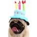 Cute Birthday Cake Hat for Pets with 5 Color Candles - Blue - Buy Online on GoSupps.com