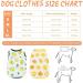 Buy 2-Piece Breathable Dog Shirts | Summer Pet Clothing with Fruit Patterns for Small & Medium Dogs & Cats - Buy Online on GoSupps.com