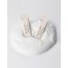 Buy Natural Enzyme Powder for Digestive Health | Fast International Shipping - Buy Online on GoSupps.com