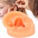 Flexible Silicone Left Ear Model for Realistic Earwax Removal Simulation - Buy Online on GoSupps.com