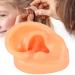 Silicone Imitation Real Human Ear Display Model - Sculpture Supplies - Buy Online on GoSupps.com