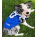 NCAA Kentucky Wildcats Dog Jersey - Medium | Pets First Basketball Pet Jersey - Buy Online on GoSupps.com