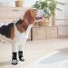 Pupeck Dog Socks - Anti-Slide Paw Protection for All Dog Sizes | 6-Pack Outdoor & Indoor Pads - Summer Heat & Hardwood Floor Safety - Buy Online on GoSupps.com