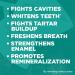 Tom's of Maine Whole Care Natural Toothpaste 3-Pack - Fluoride Cinnamon Clove 4 oz - Buy Online on GoSupps.com