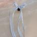 Limtula Check Ribbon Bowknot Ballet Style Hair Claw Clip for Girl Hair Clamps Clip Hair Style Tool French Jaw Clip Headwear Purple - Buy Online on GoSupps.com