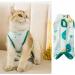 Cat Recovery Suit for Kitten & Small Dog - After Surgery Vest Pajama (Size M) - Buy Online on GoSupps.com