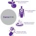CurcuViva by AOR - 60 Vegetarian Capsules for Advanced Orthomolecular Support - Buy Online on GoSupps.com
