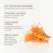 Cordyceps Mushroom Powder by Bloomable I Energy and Endurance (100 gr) 100 g (Pack of 1) - Buy Online on GoSupps.com