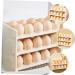 FELTECHELECTR Holder Preservation Refrigerator Container Multi-layer Rack Supply Storage Kitchen Household for - Buy Online on GoSupps.com